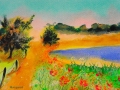 Lac de Devesset  1,    Juillet 2012,  Pastel et Acrylique