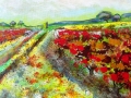  Le Plan du Castellet, 40X40, Automne 2012