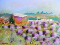 La maison d'en face, Simiane, 2013.